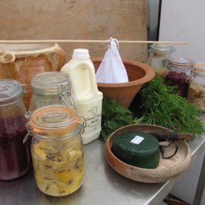 Soft Cheese and Fermentation